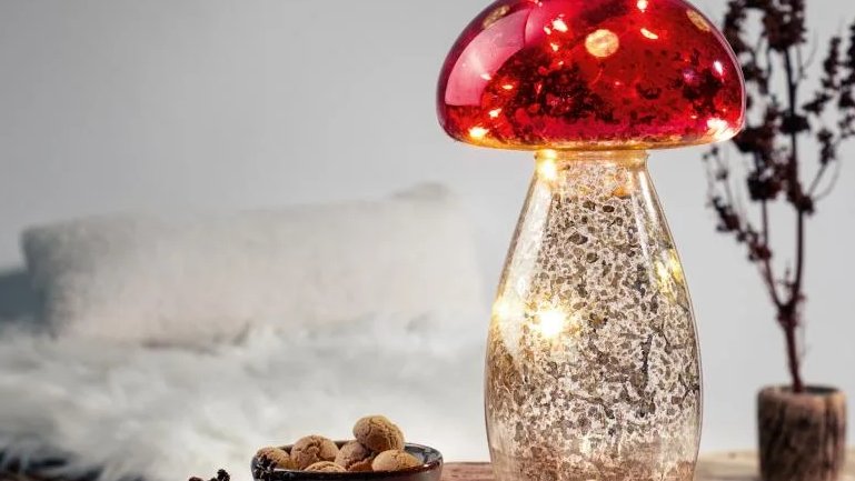 Lidl-Deal - Livarno Deko-Pilz Lidl-Deal - Livarno Deko-Pilz