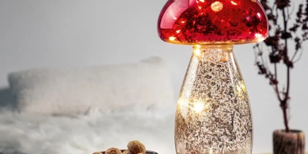 Nur 8 €: Dieser leuchtende Pilz verwandelt eure Wohnung in einen zauberhaften Märchenwald