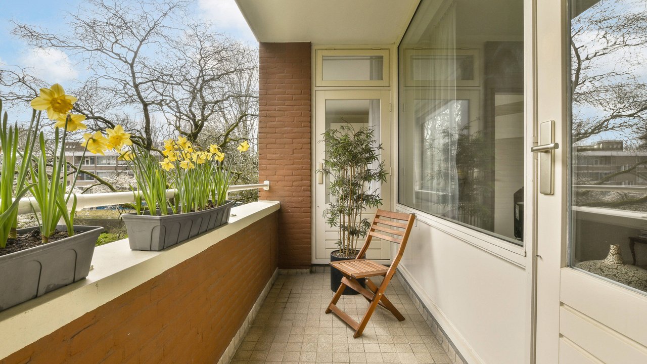 Praktischer Outdoor-Teppich bei Amazon Praktischer Outdoor-Teppich bei Amazon