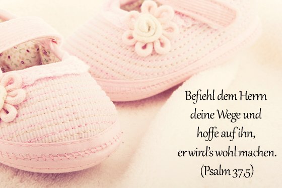 Taufsprüche: Psalm 37,5