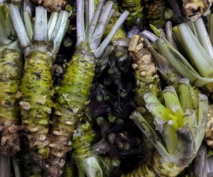 Wasabi und Stillen: Ist das grüne Gewürz in der Stillzeit bekömmlich?