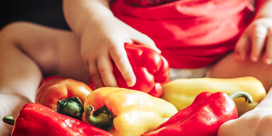 Dürfen Babys Paprika essen? Ab wann ist es empfehlenswert? Dürfen Babys Paprika essen? Ab wann ist es empfehlenswert?