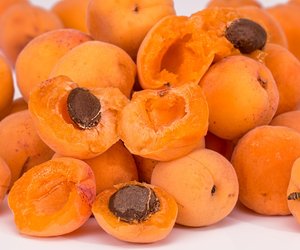 Aprikosen für den Hund: Sind die Sommerfrüchte erlaubt?