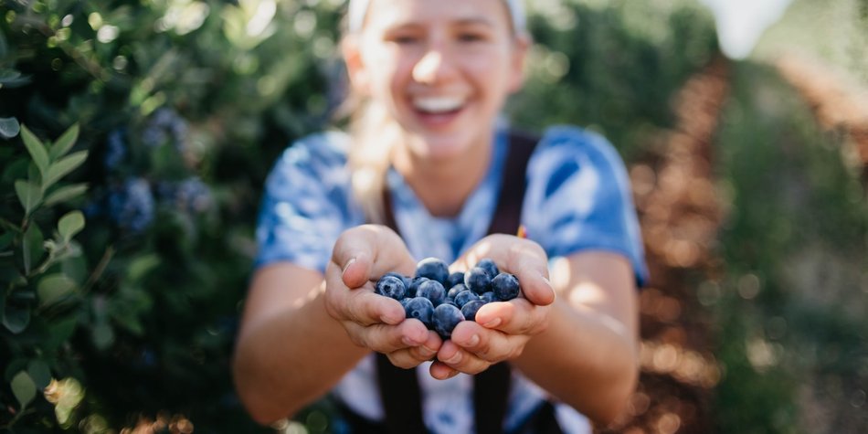 Blaubeeren & Schwangerschaft: Sind sie in dieser Zeit gesund? Blaubeeren & Schwangerschaft: Sind sie in dieser Zeit gesund?