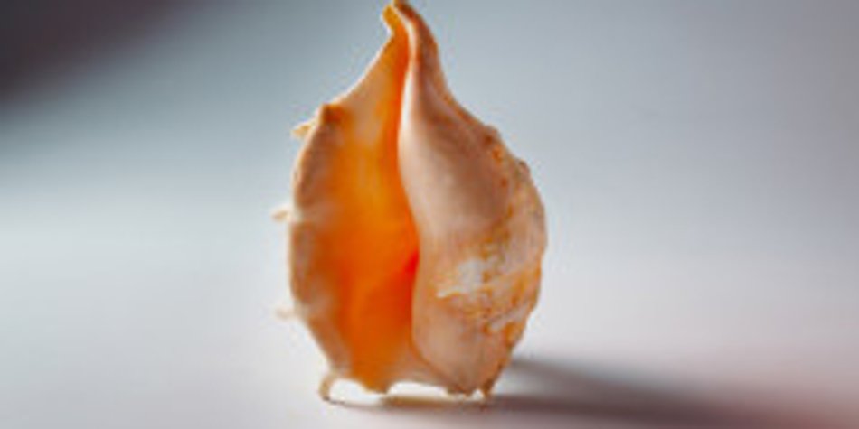 Vaginalstraffung nach der Geburt Vaginalstraffung nach der Geburt
