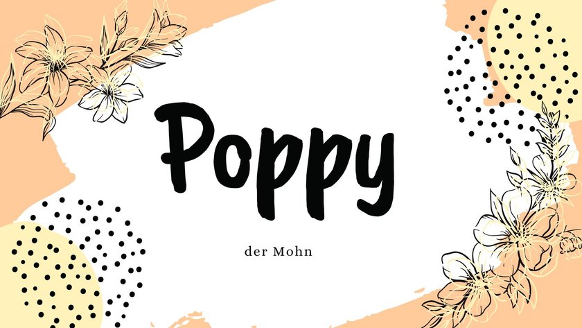 Namen, die Blume bedeuten: Poppy