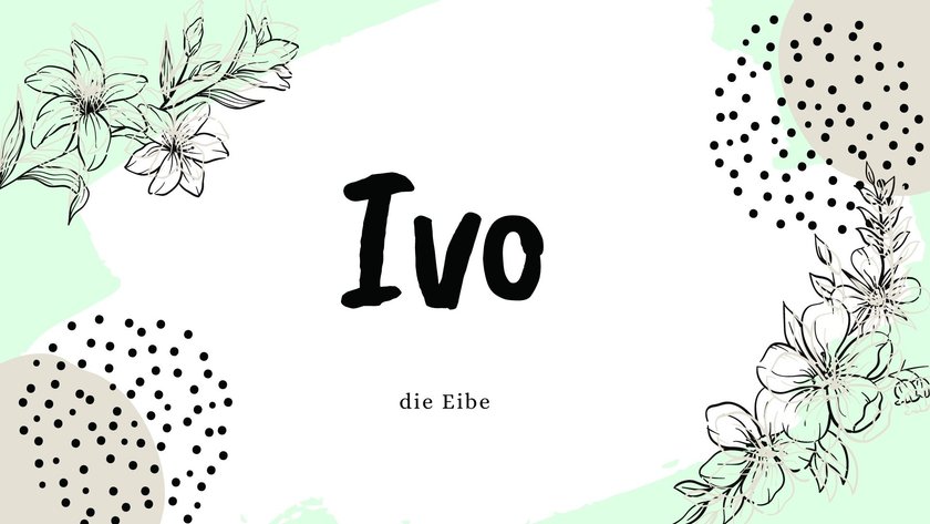 Namen mit der Bedeutung „Blume”: Ivo