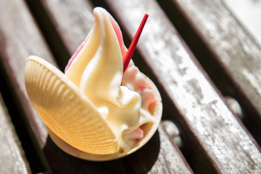 DDR Softeis in Muschelwaffel