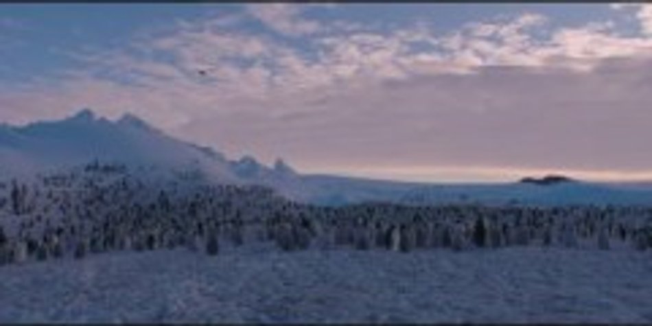 Trailer: Die Reise der Pinguine 2 Trailer: Die Reise der Pinguine 2