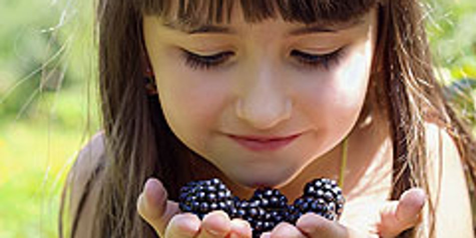 Gartenarbeit im August - Tipps für Kinder & Eltern Gartenarbeit im August - Tipps für Kinder & Eltern