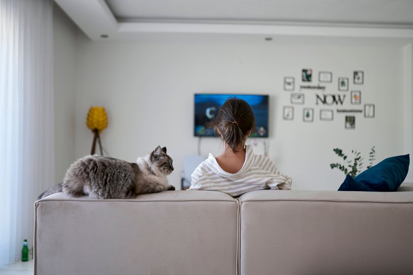 Manche Katzen stören sich an hochfrequenten Geräuschen. Manche Katzen stören sich an hochfrequenten Geräuschen.