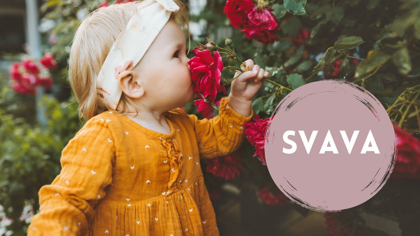 norwegische Mädchennamen Svava