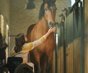 Pferdefilme für Kinder: Auf ins Abenteuer