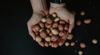 Kartoffeln richtig aufbewahren: So halten sie besonders lange