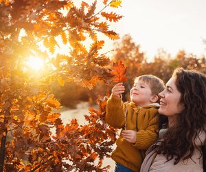 Unter 500 Euro: 5 versteckte Urlaubsperlen für günstige Familienferien im goldenen Herbst