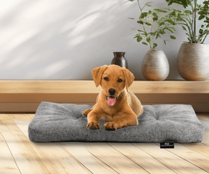 Hundeglück pur: Das Wohlfühlkissen aus dem Lidl‑Sortiment wird dein Vierbeiner lieben!