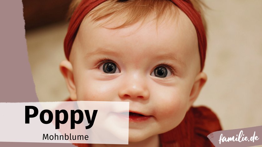 Mädchennamen Farbe Rot Poppy Mädchennamen Farbe Rot Poppy