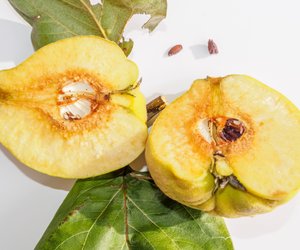 Genuss ohne Risiko: Darauf musst du achten, wenn du Quitten isst