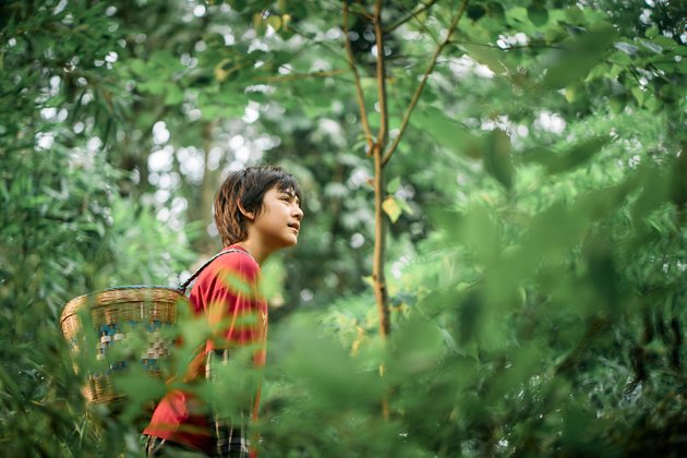 Moon, der Panda: Erst geht Tian in den Wald der Sichuan-Region, um für seine Großmutter Holz zu sammeln, doch dann ... Moon, der Panda: Erst geht Tian in den Wald der Sichuan-Region, um für seine Großmutter Holz zu sammeln, doch dann ...