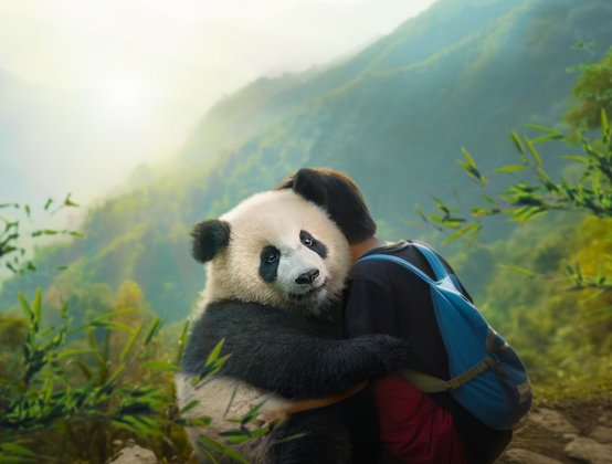 Moon, der Panda: Die Freundschaft zwischen Moon und Tian wird auf eine harte Probe gestellt. Moon, der Panda: Die Freundschaft zwischen Moon und Tian wird auf eine harte Probe gestellt.