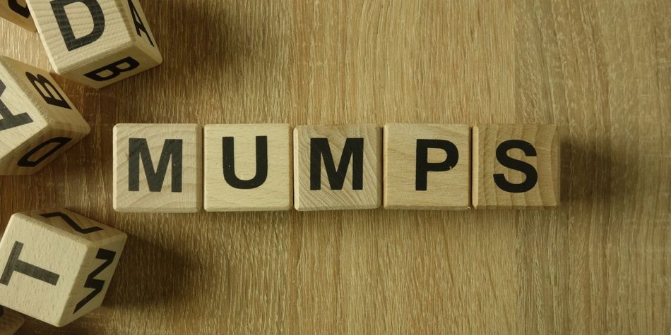 Impfpass checken: Mumps-Ausbruch in den USA und in Irland Impfpass checken: Mumps-Ausbruch in den USA und in Irland