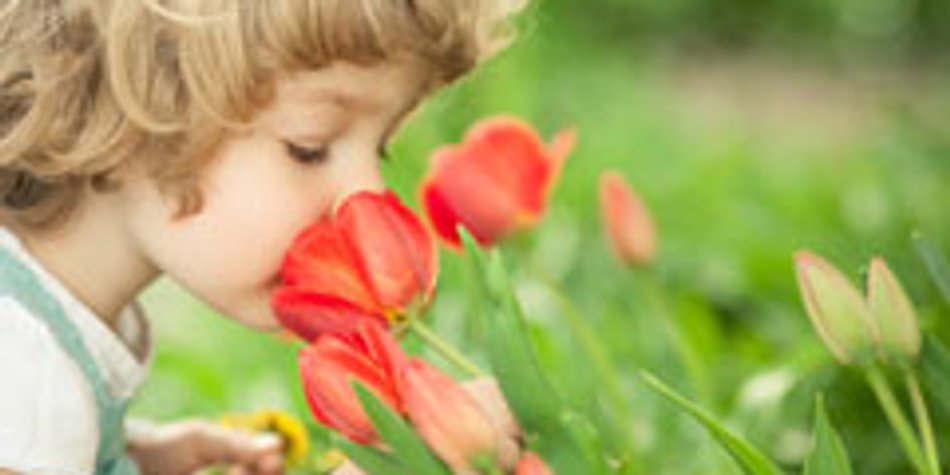 Guck mal, ein Käfer! Frühling mit Kindern - Tipps & Ideen Guck mal, ein Käfer! Frühling mit Kindern - Tipps & Ideen