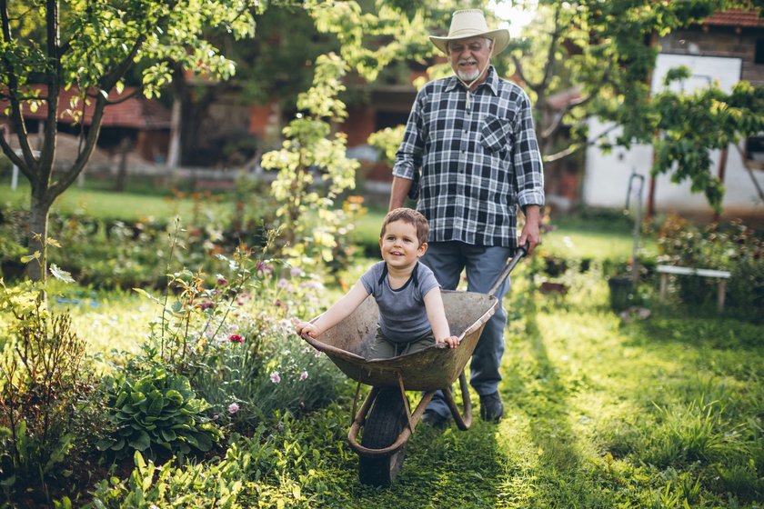 Garten-Spiele mit Opa: Großvater fährt seinen Enkel in einer Schubkarre durch den Garten Garten-Spiele mit Opa: Großvater fährt seinen Enkel in einer Schubkarre durch den Garten