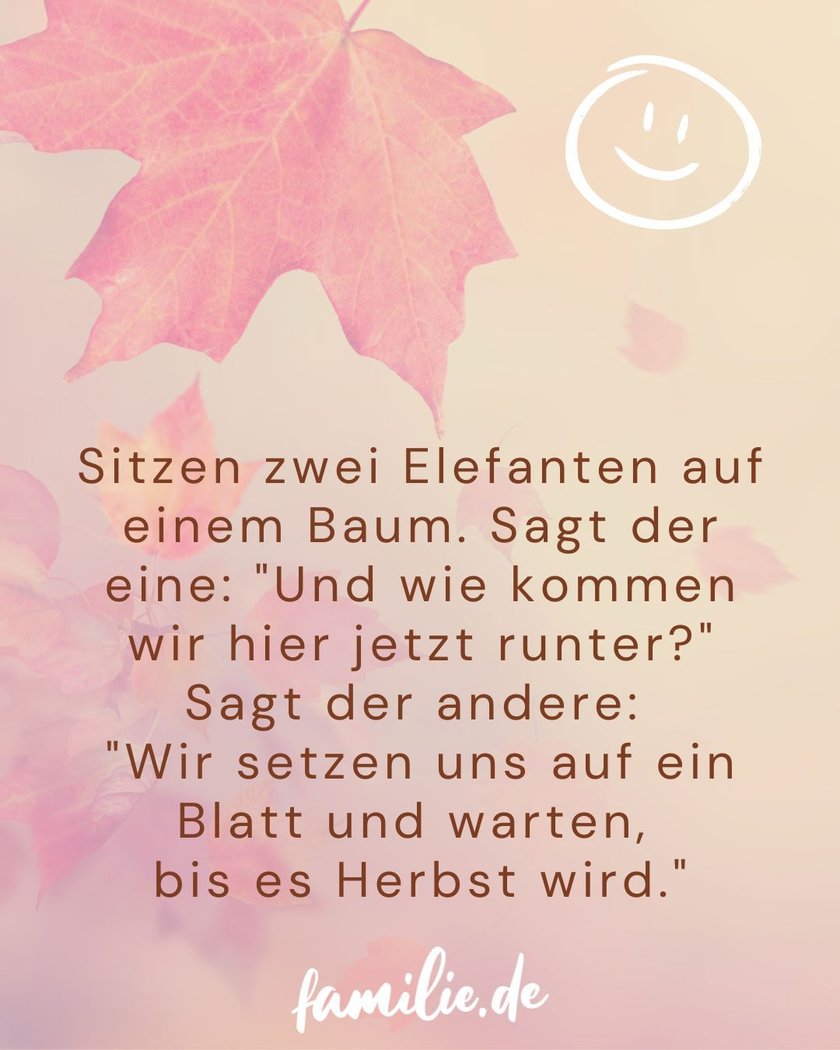 Herbstwitze auf Blätterhintergrund mit Smiley Herbstwitze auf Blätterhintergrund mit Smiley