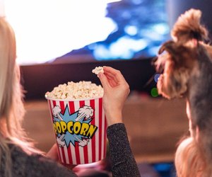 Dürfen Hunde Popcorn essen oder ist es schädlich?