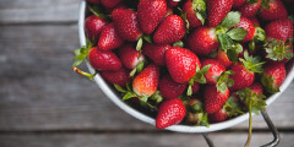 Erdbeeren für Genießer: Das schmeckt der ganzen Familie Erdbeeren für Genießer: Das schmeckt der ganzen Familie