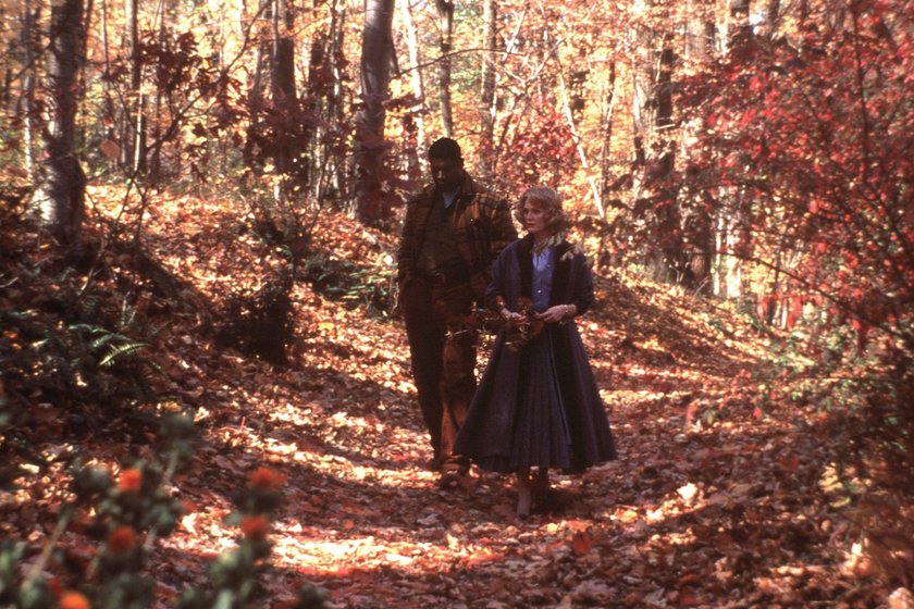 DEM HIMMEL SO FERN Todd Haynes Raymond Deagan (DENNIS HAYSBERT), Cathy Whitaker (JULIANNE MOORE) 