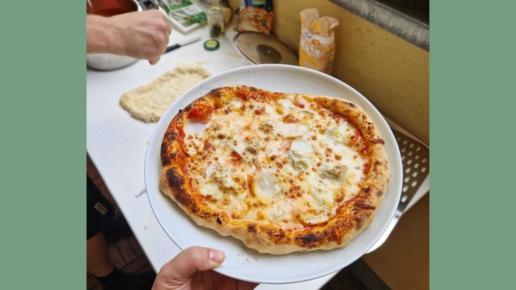 Test Ninja Artisan Outdoor-Elektro-Pizzaofen