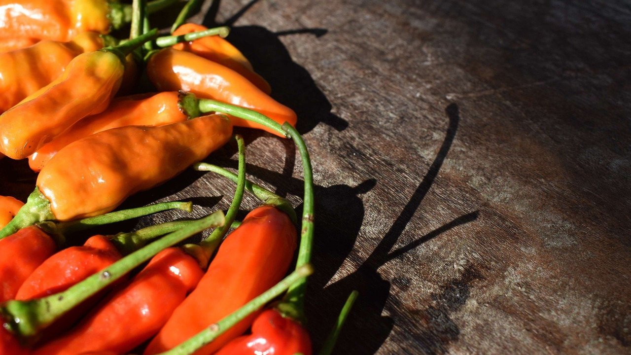 Durch Einfrieren werden Peperoni lange haltbar. Durch Einfrieren werden Peperoni lange haltbar.
