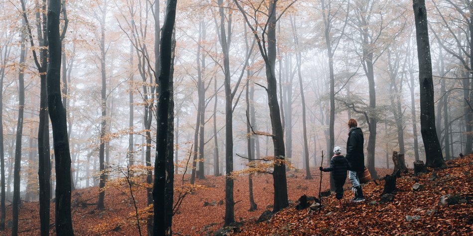 Wie entsteht Nebel? Für Kinder einfach erklärt Wie entsteht Nebel? Für Kinder einfach erklärt