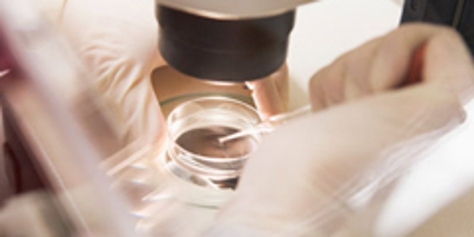 In-Vitro-Fertilisation: Wunschkind aus dem Reagenzglas In-Vitro-Fertilisation: Wunschkind aus dem Reagenzglas