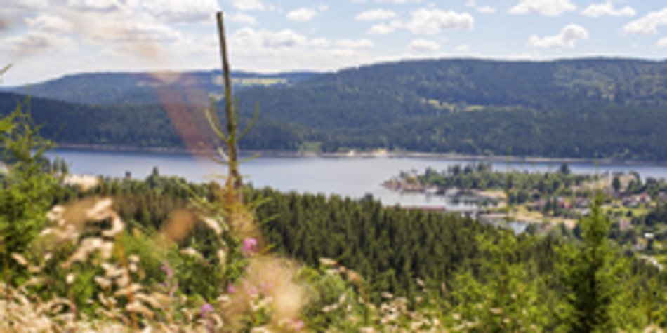 Der Schluchsee: ein Familien-Ferien-Paradies Der Schluchsee: ein Familien-Ferien-Paradies