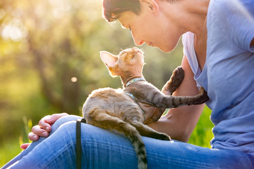 Frau mit ihrer Katze im Freien Frau mit ihrer Katze im Freien