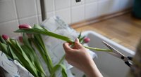 Diese tollen Tipps halten den Tulpenstrauß in der Vase viel länger frisch