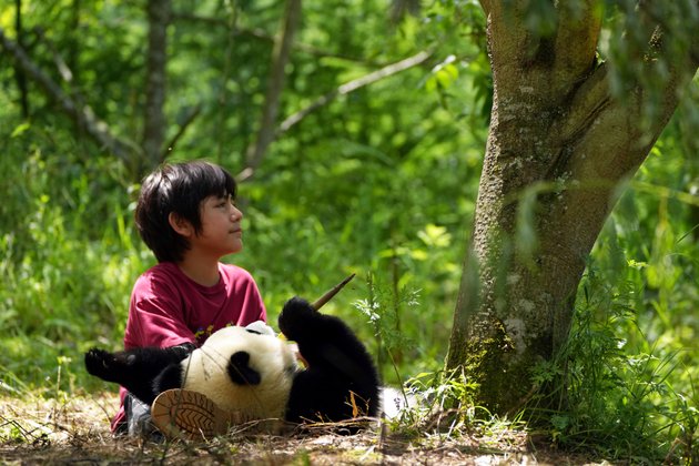 Moon, der Panda: Während sich Tian sich mit dem Panda Moon anfreundet, weiß seine Familie nichts von seinem tierischen Freund - denn Menschen dürfen sich wilden Pandas nicht nähern. Moon, der Panda: Während sich Tian sich mit dem Panda Moon anfreundet, weiß seine Familie nichts von seinem tierischen Freund - denn Menschen dürfen sich wilden Pandas nicht nähern.