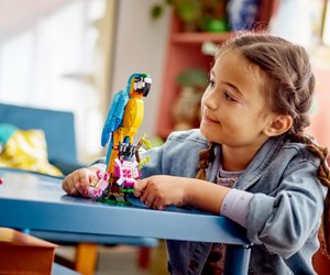 Media Markt verkauft Papagei von LEGO im Set zum Sparpreis