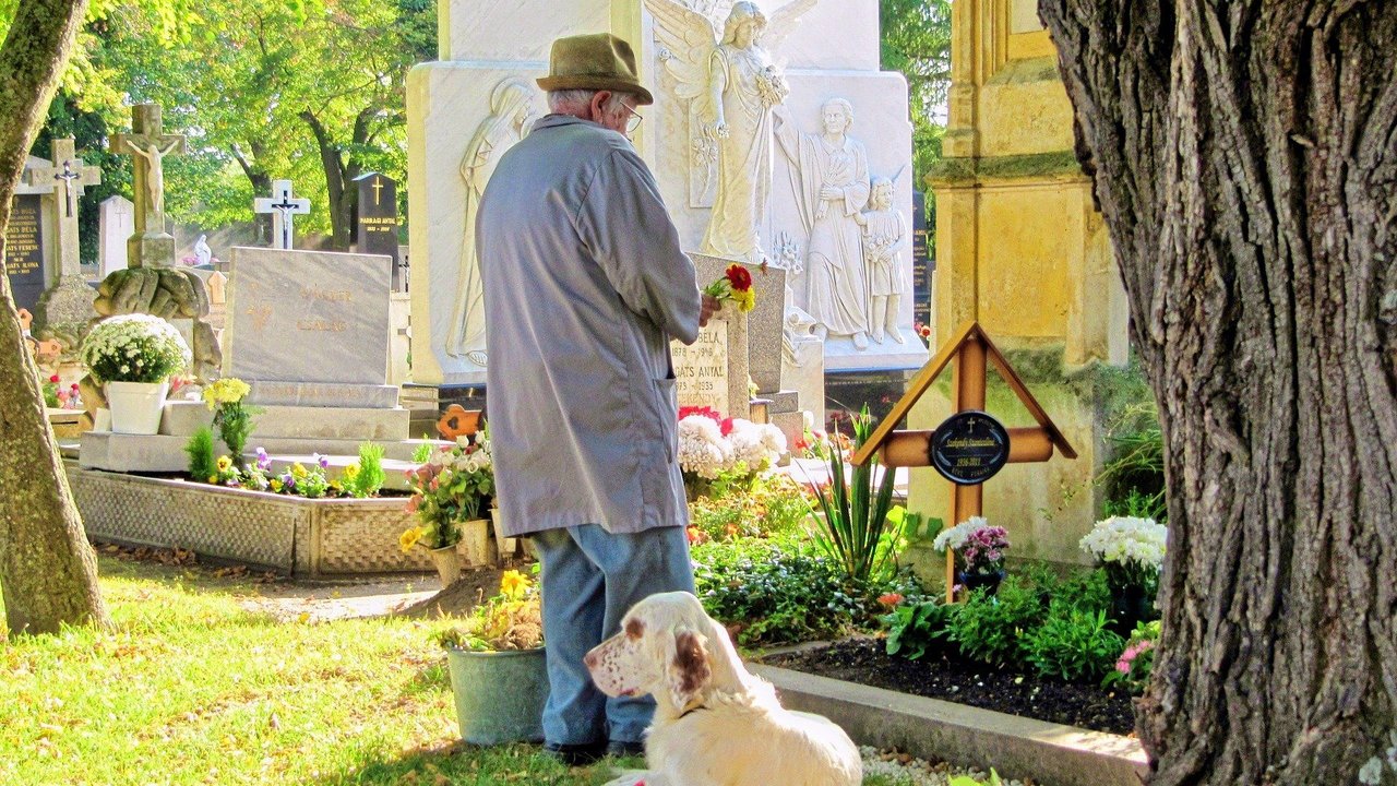 Das gilt es beim Betreten von Friedhöfen mit deinem Hund zu beachten. Das gilt es beim Betreten von Friedhöfen mit deinem Hund zu beachten.