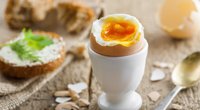 Eierkocher-Test: Mit diesen 6 Geräten gelingt das perfekte Frühstücksei