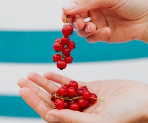 Johannisbeeren fürs Baby: Ab wann darf mein Baby sie essen?