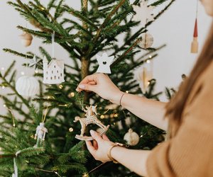 Nach den Feiertagen: Wie lange hält ein Weihnachtsbaum?