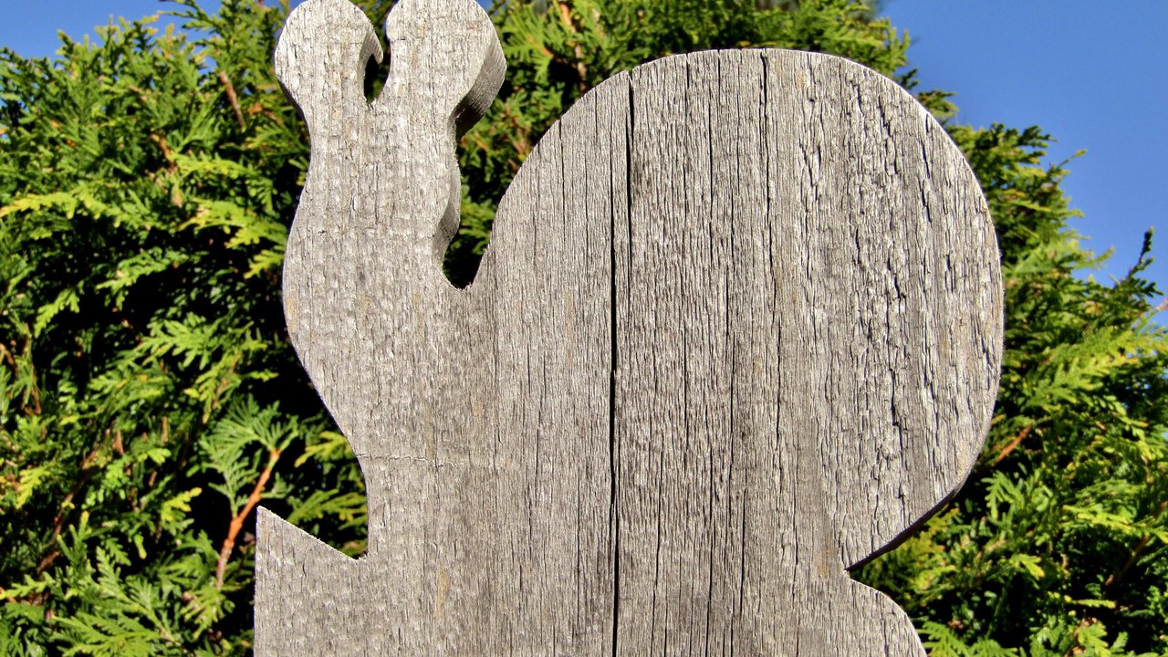 Steht auf deinem Hof oder auf dem Spielplatz eine Thuja-Hecke, solltest du aufpassen.