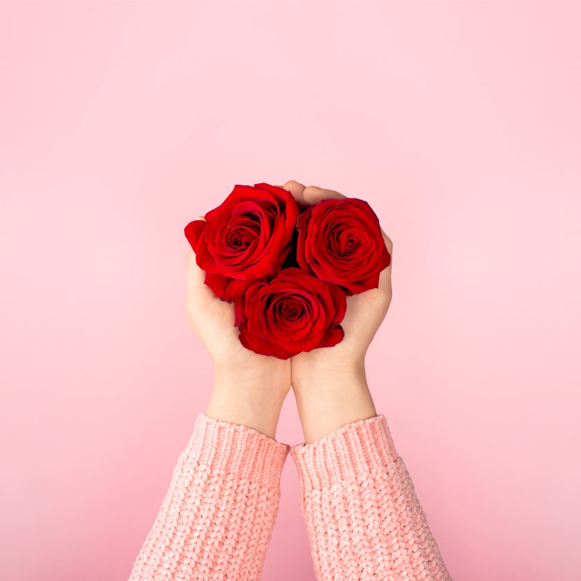Blumen und ihre Bedeutung: rote Rose