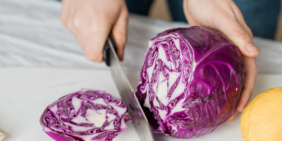 Rotkohl und Stillen: Befreiung von Stillschmerzen Rotkohl und Stillen: Befreiung von Stillschmerzen