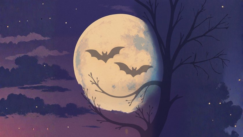 Psychologie-Test: Was siehst du zuerst erkennst, verrät deine größte Angst! Psychologie-Test: Was siehst du zuerst erkennst, verrät deine größte Angst!