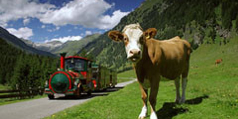 Familienurlaub am Katschberg in Österreich Familienurlaub am Katschberg in Österreich
