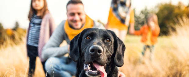 Familienfreundliche Hunde: 10 geeignete Rassen für Groß & Klein